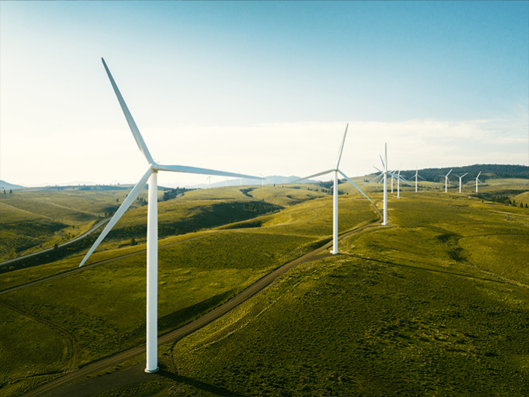 Investing in green stocks: How Americans are making the difference
