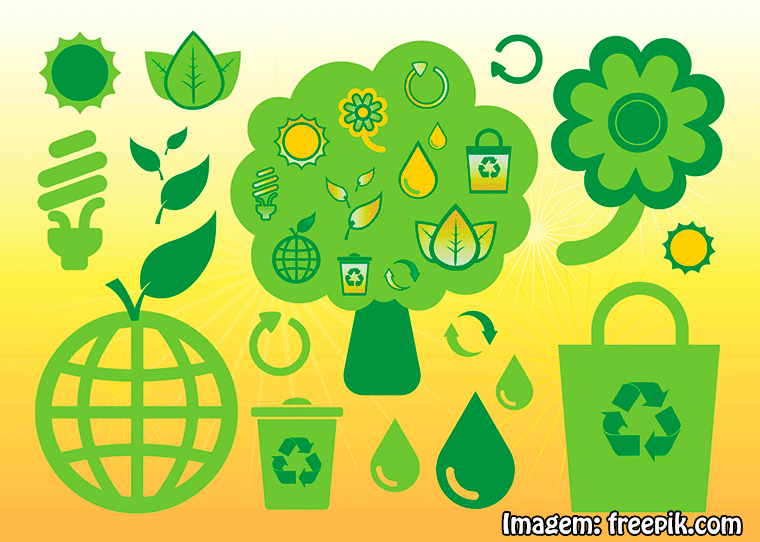 Qual a diferença entre Engenharia Ambiental e Engenharia Florestal?