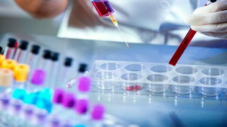 Cursos Grátis de Biomedicina: Introdução ao Diagnóstico de vírus