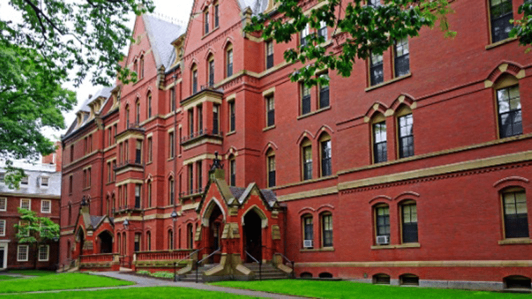 MIT e Harvard oferecem cursos online gratuitos