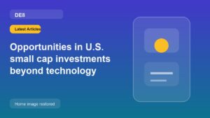 Opportunities in U.S. small cap investments beyond technology