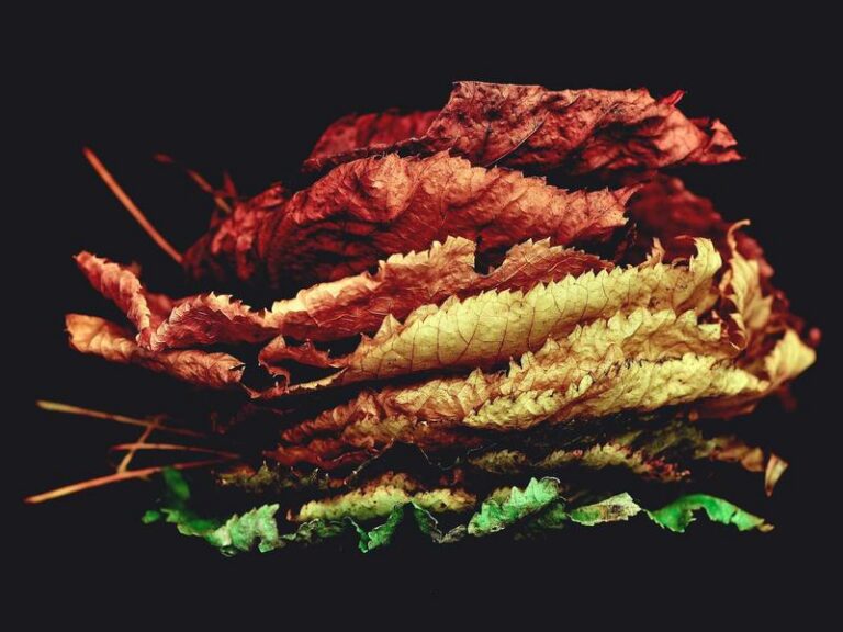 The evolution of private health insurance in the US: How to navigate recent changes