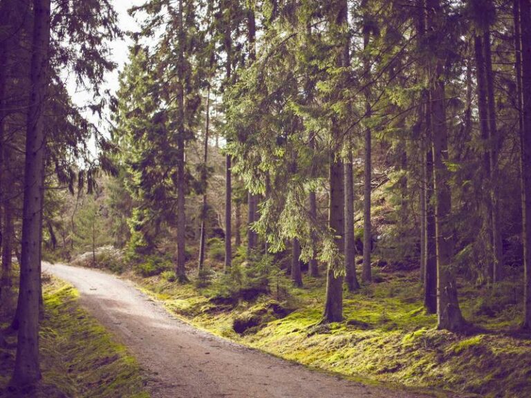 How to build an emergency fund in the US: Step by step